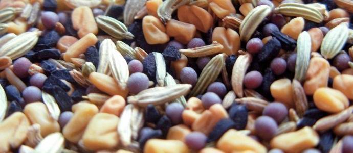 Válka v Sýrii zbavila lidstvo semen v případě apokalypsy