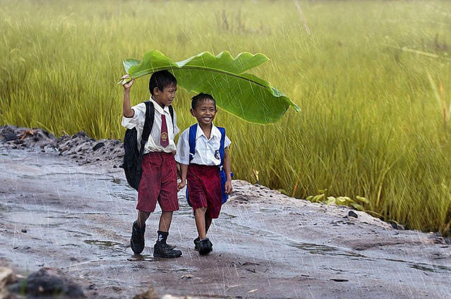 1sthalf1306 Působivé fotografie z první poloviny roku 2013