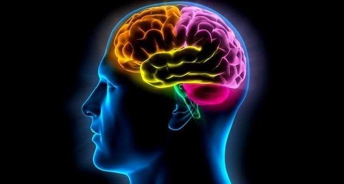 Sezóna ovlivňuje naše mentální schopnosti.