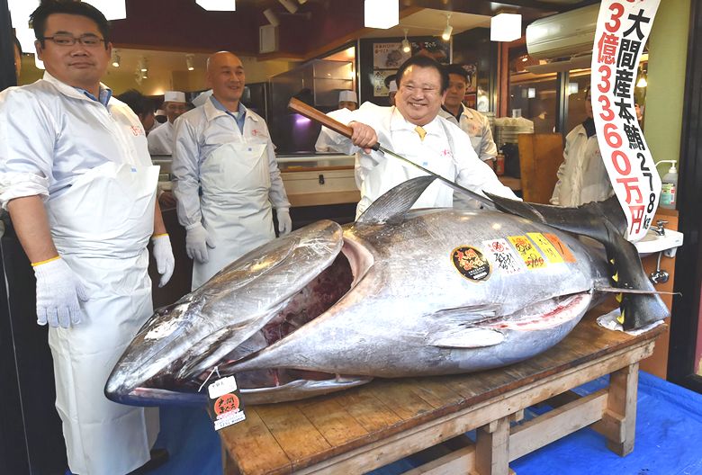 Japonec zaplatil za obří tuňáka více než 3 miliony dolarů