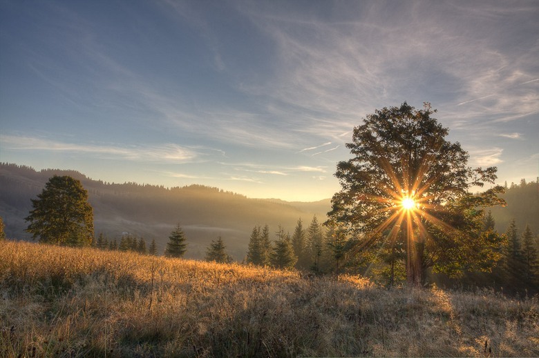 Japonští vědci říkají: rychlost a hloubka zapamatování informací závisí na denní době
