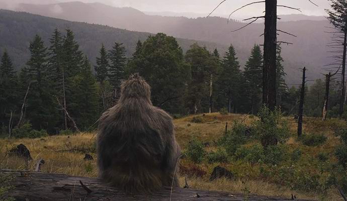 Za zajetí sněhuláka slíbil milion dolarů