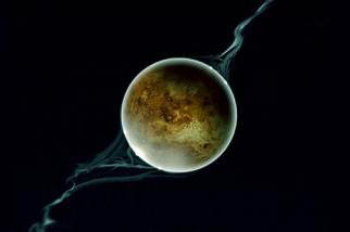 Proč Země unesla měsíc z Venuše?