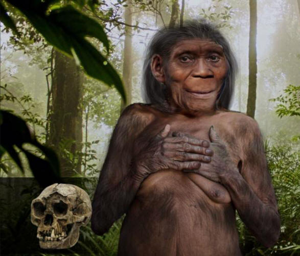 Hádanka prehistorických florálních trpaslíků