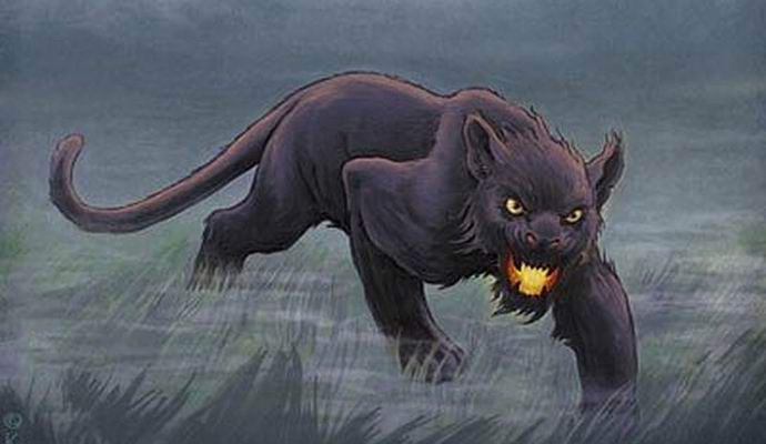 Tajemství záhadné Bodminské bestie je vyřešeno?