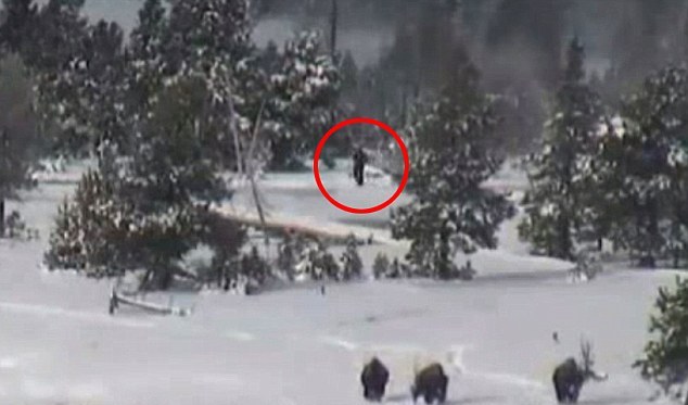 Tajemný Yeti - Tajemný ve všem