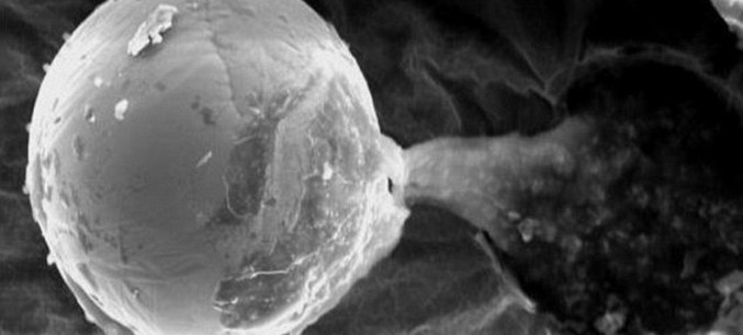 Tajemný objekt objevený na výzkumné sondě