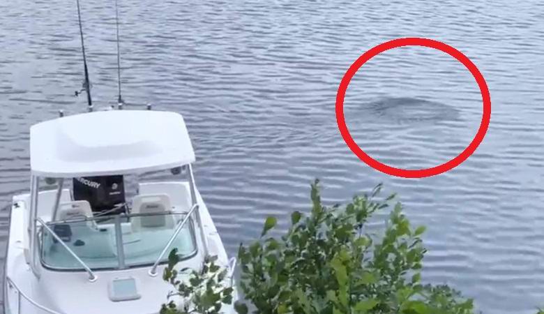 Tajemný objekt zachycený v americkém jezeře