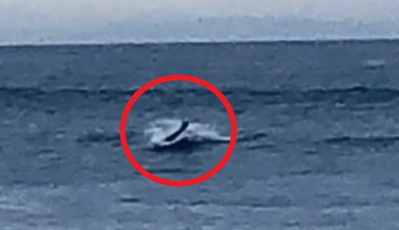 Z vody v Kalifornii se vynořil záhadný humanoidní tvor.