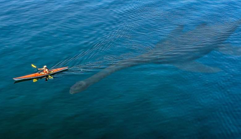 V malém skotském jezeře se objevilo tajemné stvoření.
