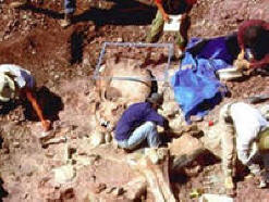 Zakázaná archeologie