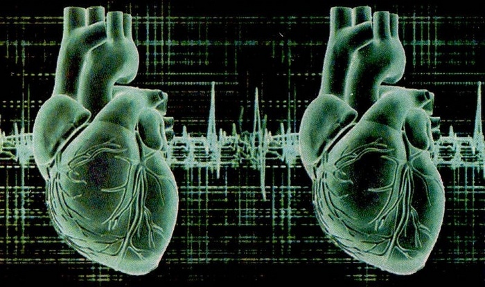 Narození nové rasy - mít dvě srdce