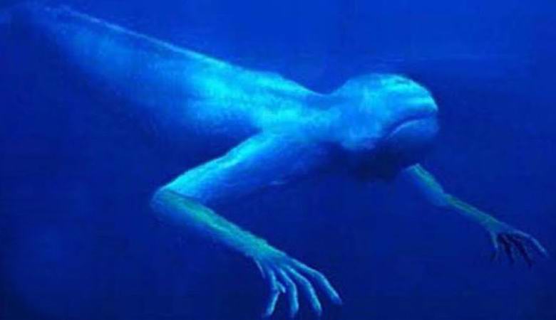 Hrozná stvoření žijí ve vodních kanálech v Birminghamu